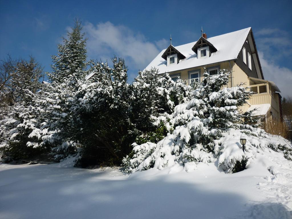 Pension Haus Martha Bad Grund Exteriér fotografie