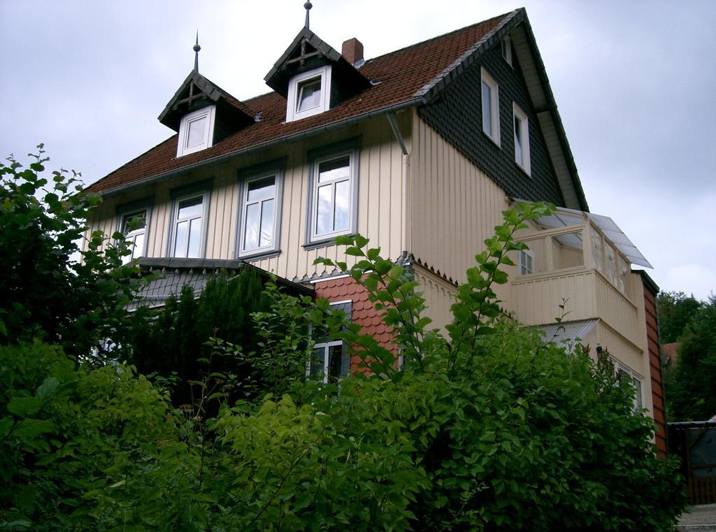 Pension Haus Martha Bad Grund Exteriér fotografie