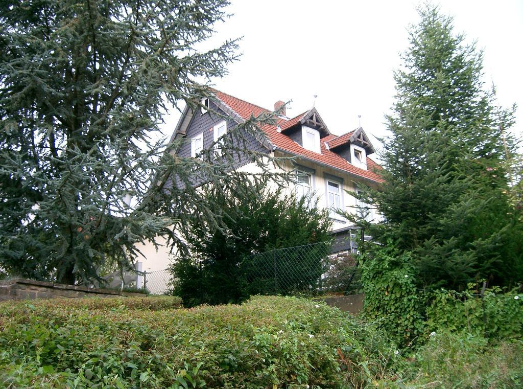 Pension Haus Martha Bad Grund Exteriér fotografie